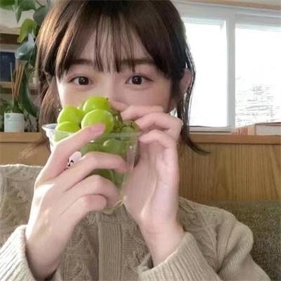 《小松鼠大侦探》