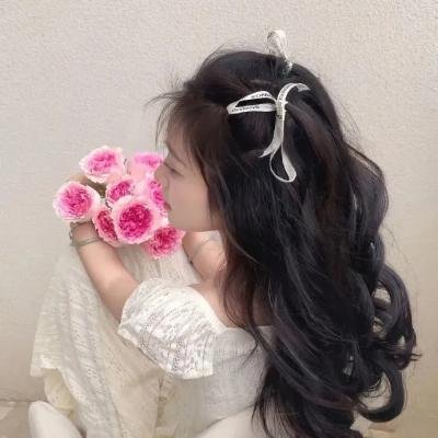 《龙珠传奇之无间道》